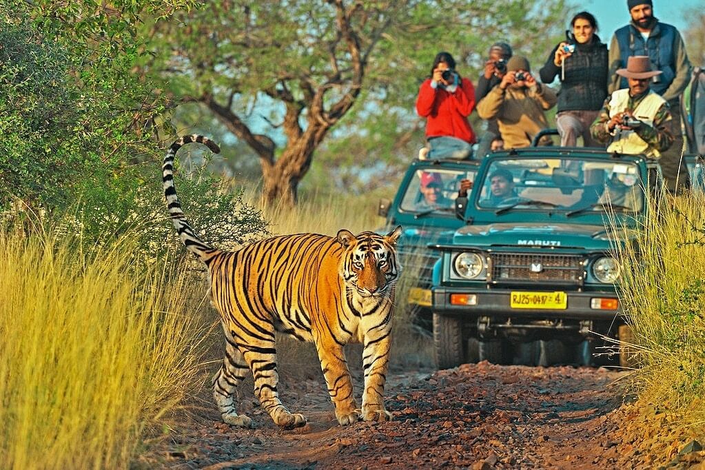 Ranthambore — Tiger Reserve tour destination by BharatMile